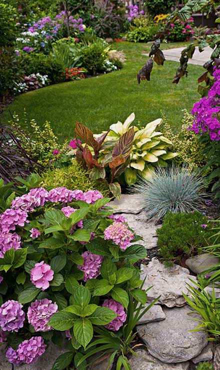 Native Sons LLC  Commercial Landscaping