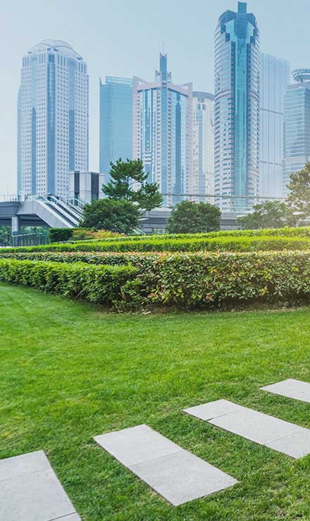 Contact Native Sons LLC for Commercial Landscaping Services