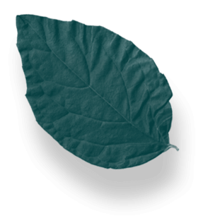 Native Sons LLC  Commercial Landscaping Services