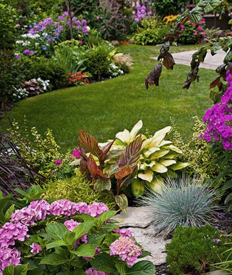 Native Sons LLC  Commercial Garden Design
