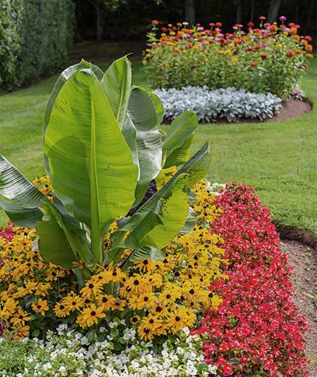 Native Sons LLC  Commercial Landscaping