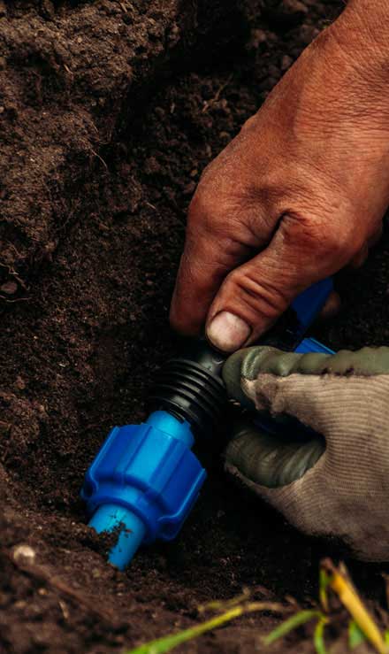 Native Sons LLC  Commercial Irrigation Installation