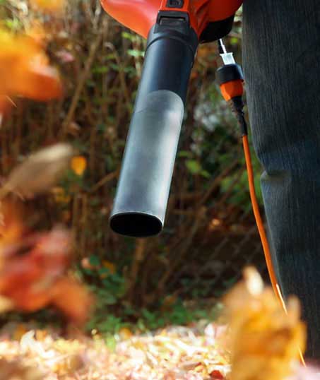 Native Sons LLC Commercial Leaf Removal