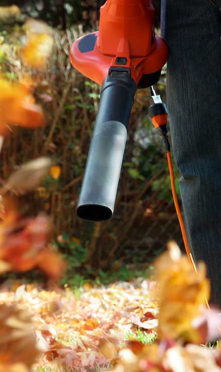 Native Sons LLC Commercial Leaf Removal