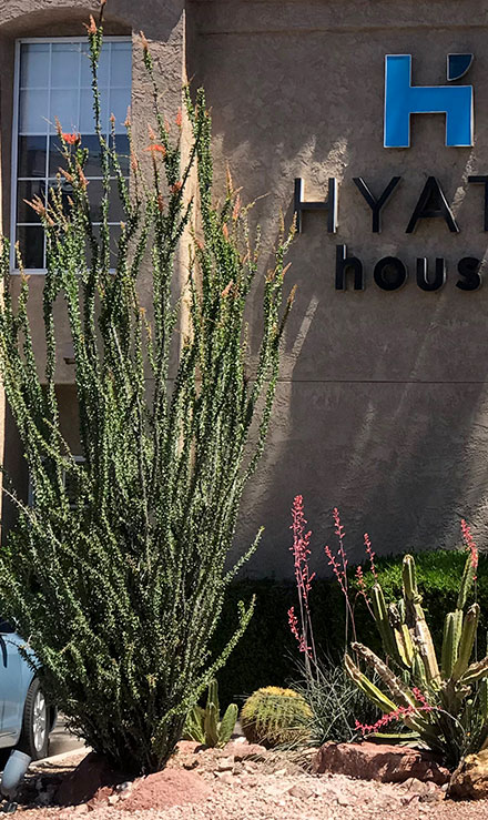 Native Sons LLC  Commercial Landscaping